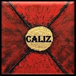 sandrine Bollaert.CALIZ - @sandrinebollaert.caliz - Instagram
