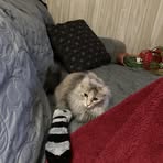 Sandra Bolotte - Facebook