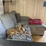 Sandra Bolotte - Facebook