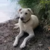 Sandra Bolte - Eisenbeis - @sandra.bolte.eisen - TikTok