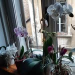 Sandra Bonamici - @sandra.bonamici - Instagram