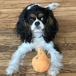 Sandra Bonfiglio - @sandra.bonfiglio.71 - Instagram