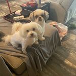 Sandra Boozer - @sthnladysc - Instagram