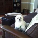 Sandra Borders - @borderssand_ - Instagram