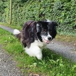 Sandra Juraschka - @bordersanna.sandra.j - Instagram