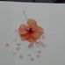 Sandra Boreland - Facebook