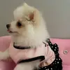 Alexandra - @sandraboris42 - TikTok