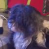Sandraboris 2807 - @katharina173 - TikTok