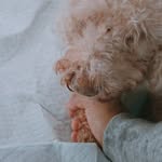 Sandra Borja - @sanborlo - Instagram