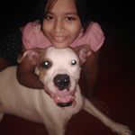 Sandra Borjas Condori - @borjascondori - Instagram