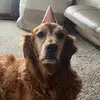 Sandra Borowiec - @sandra.borowiec - TikTok