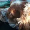 Sandra Borrelli - @sandra.borrelli4 - TikTok