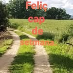 Sandra Serrano Borrell - @serranoborrell - Instagram