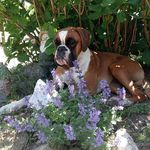 Sandra Borst - @sandra.borst - Instagram