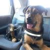Sandra Bossard119 - @emynona.namaste - TikTok