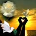 Sandra Bossard - Facebook