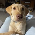 Sandra S Bosserman - @ssbossii - Instagram