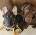 Sandra Bourget - Facebook