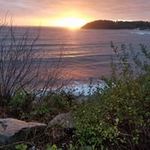 Sandra Boutin Purington - @boutinpurington - Instagram