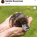 Sandra Bowerman - Facebook