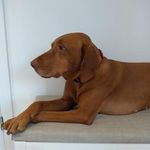Sandra Bowes - @sandra.bowes.16 - Instagram