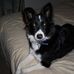 Sandra Bowker - Facebook