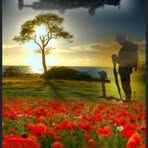 Sandra Boxall - Facebook