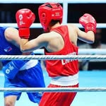 sandy boxer - @sandeepdangra6 - Instagram