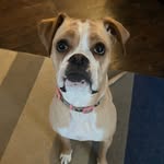 Sandy - @sandradeetheboxer - Instagram