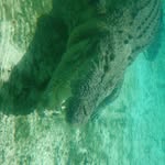 Sandra Boyett - @boyett1262 - Instagram