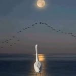 Sandra Boyett - @sandraboyett75 - Instagram