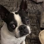 Sandy Boyles - @sandyboyles - Instagram