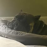 Sandy Brooks Layton-Boyles - @sandylb69 - Instagram