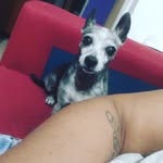 Sandra Bracamonte - @bracamonte460 - Instagram