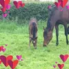 Sandra Abram - @sandra.abram53 - TikTok