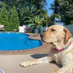 Sandra Bramhall - @shaine76 - Instagram