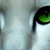 Sandra Brandy - @sandrabrandy617 - TikTok