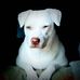 Sandra Brantley - Facebook