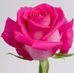 Sandra Brantley - Facebook