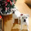 Sandy Brasher - @mr.crowleyscorner - TikTok