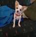 Sandra Braswell - Facebook