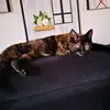 Sandra Brault - @sandra.brault - TikTok