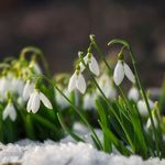 Sandra Bremner Davidson - @sandradavidson1966 - Instagram