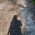 Sandra Brendle - @brendle_s - Instagram