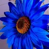 sandrabrentzel443 - @sandrabrentzel443 - TikTok