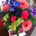 Sandra Breshears - Facebook