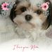 Sandra Bressi - Facebook