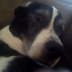 Sandra Bricker - @sandra.bricker.169 - Instagram