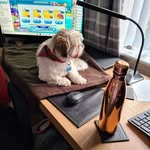 Sandra Worthington Bridge - @sandrabridge012023 - Instagram