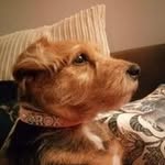 Sandra Brigham - @roderick241044 - Instagram